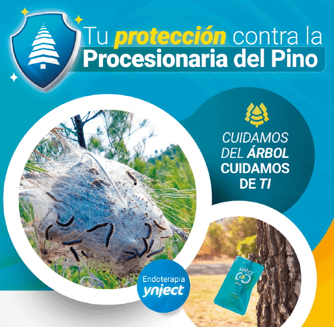 flyer-procesionaria-del-pino