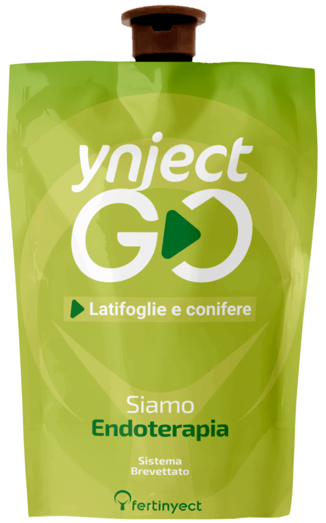 go latifoglie