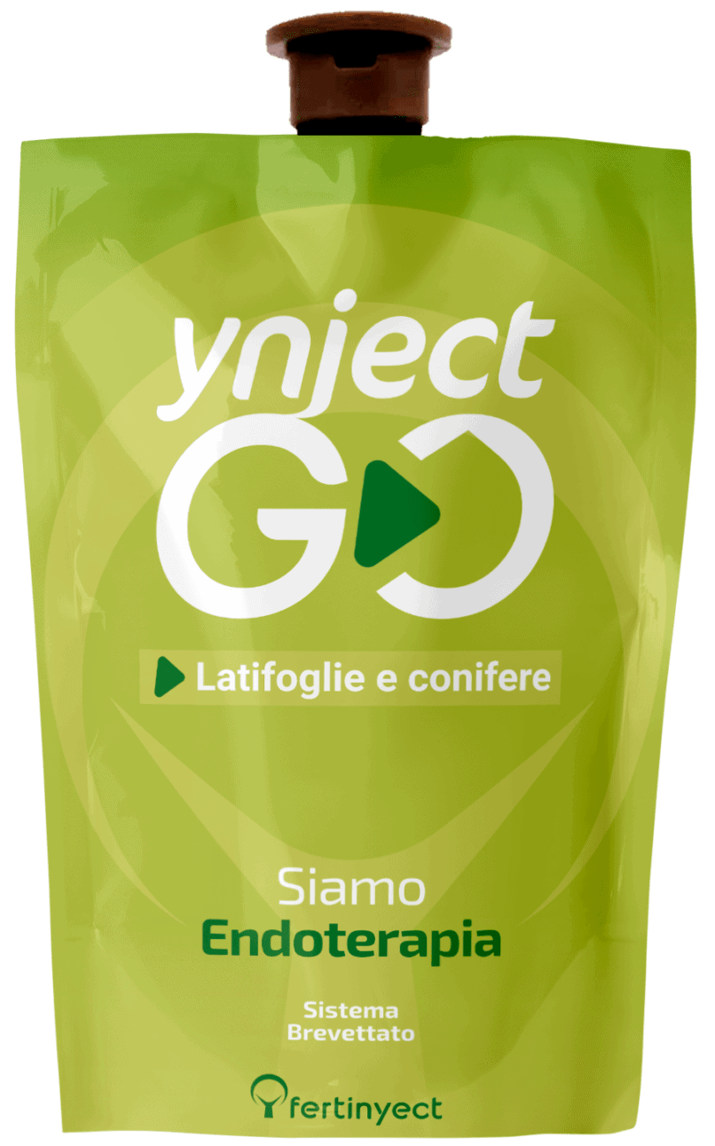 go latifoglie