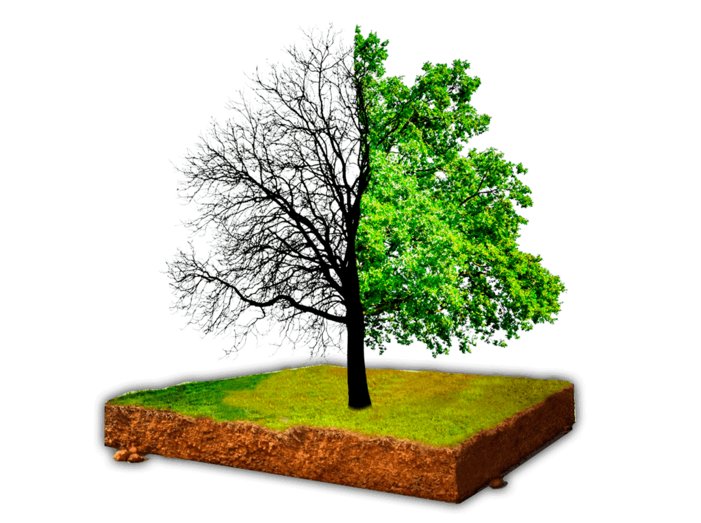 stock photo d land sign against lawn on cubicle soil and geology cross section with green grass ground 2344667197