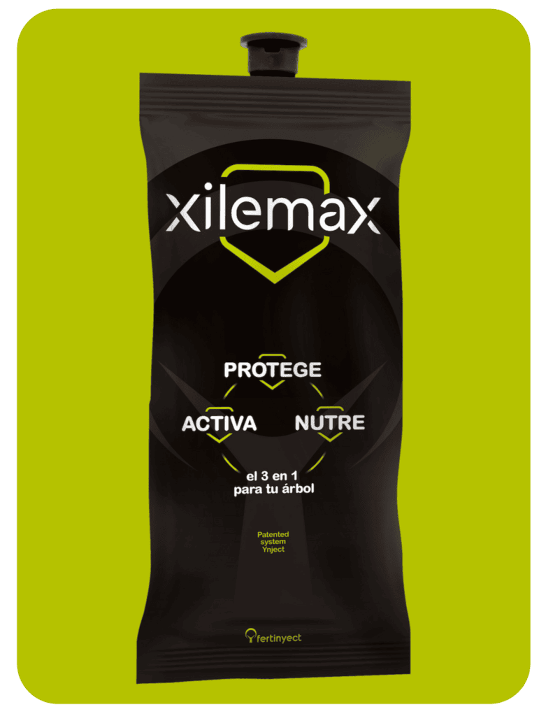 xilemax 1 1 1