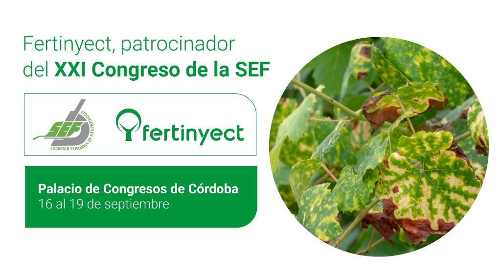Fertinyect-Congreso-SEF