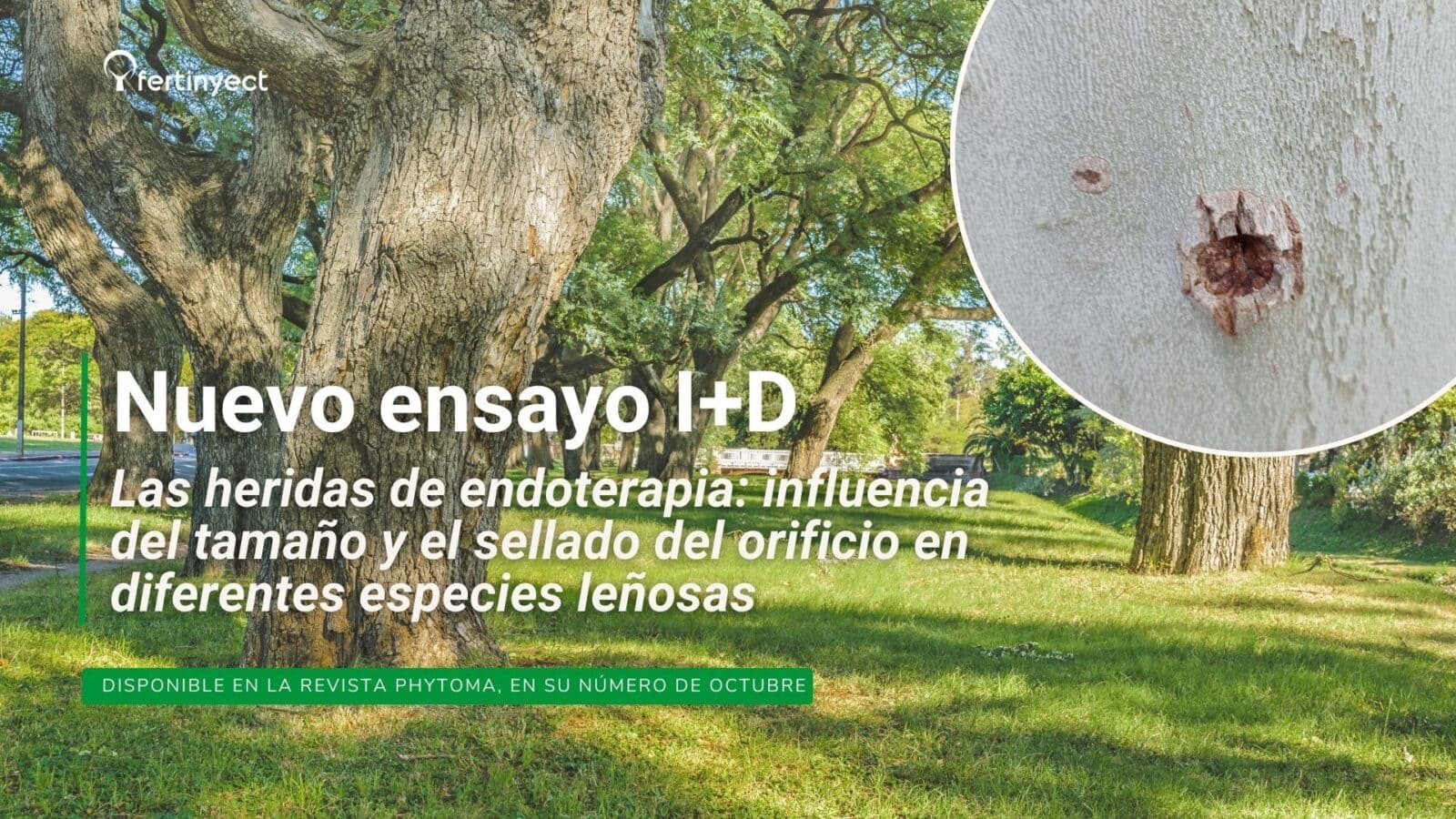 Copia de creatividad web noticia iberflora