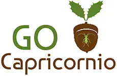 logo menu web