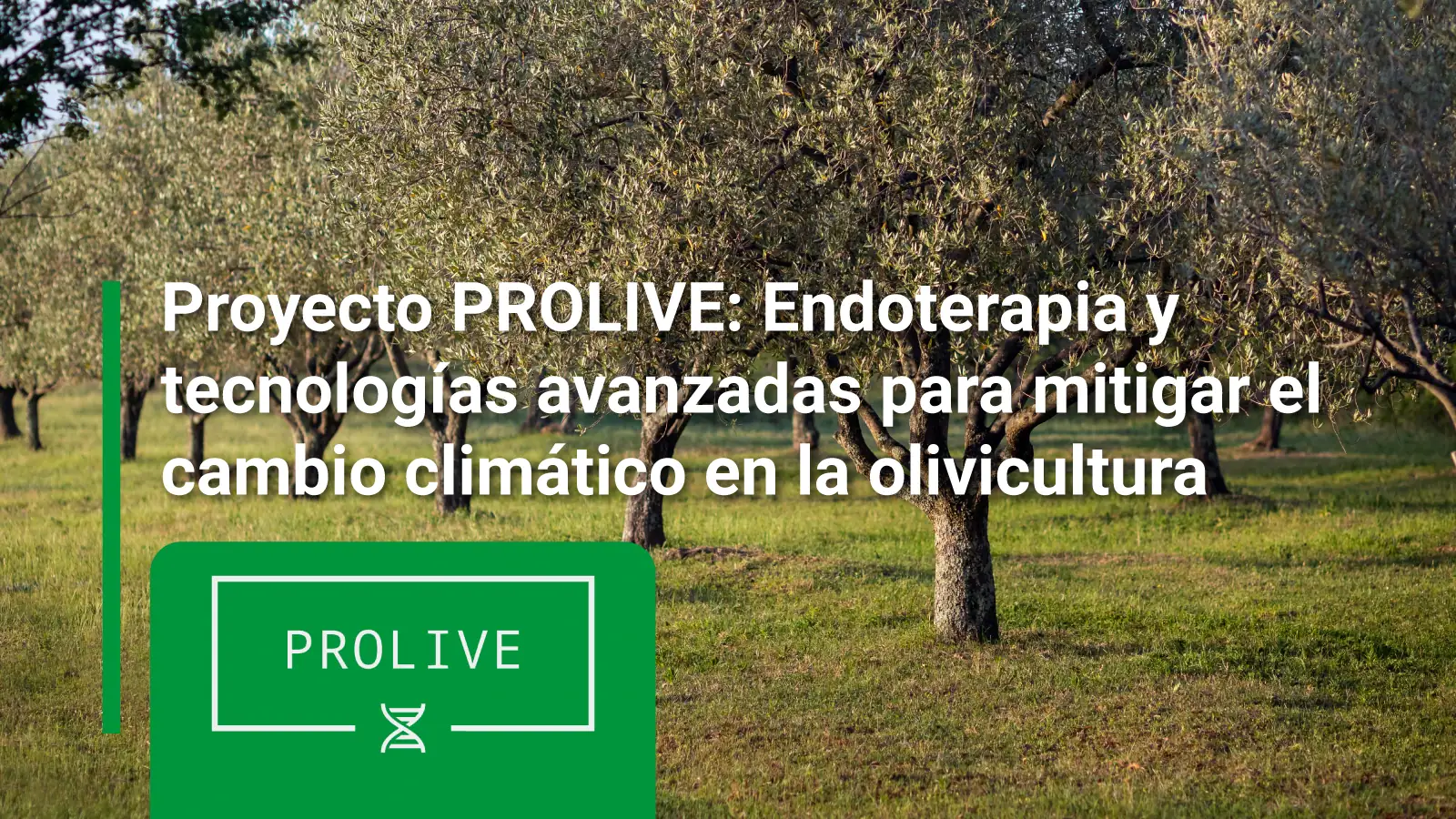 Proyecto-PROLIVE