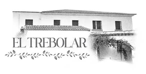 TREBOLAR logo 1